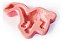 Molde De Silicone: Dinossauro Braquiossauro - 8,5 x 6,5 cm - Imagem 5