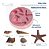Molde De Silicone: Conchas Diversas - Imagem 2