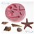 Molde De Silicone: Conchas Diversas - Imagem 1