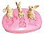 Molde De Silicone: Coelhos da Páscoa - Imagem 3