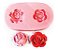 Molde De Silicone: Rosas - Imagem 1