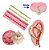 Kit: Molde De Silicone Batizado 3 peças + Brinde - Imagem 1