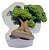Molde De Silicone: Bonsai - 6,0 x 5,0 cm - Imagem 1