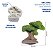 Molde De Silicone: Bonsai - 6,0 x 5,0 cm - Imagem 2