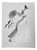 Molde De Silicone: Anjinho com Trombeta - 4,0 x 6,0 cm - Imagem 3