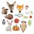 Molde De Silicone: Animais da Floresta - Imagem 3