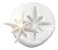 Molde De Silicone: Estrela 8 pontas - 2,5 x 2,5 cm - Imagem 1
