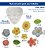 Molde De Silicone: Flores e Folhas - Imagem 2