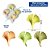Molde De Silicone: Folhas Variadas - 2,8 x 2,5 cm - Imagem 2