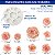 Molde de Silicone: Rosas Diversas - Imagem 2