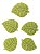 Molde de Silicone: Folhas - 2,0 x 1,7 cm - Imagem 7