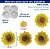 Molde De Silicone: Girassol - 2,3 cm - Imagem 2