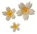 Molde de Silicone: 3 Flores - Imagem 4