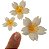 Molde de Silicone: 3 Flores - Imagem 5