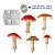 Molde de Silicone: 5 Cogumelos - Imagem 3