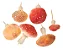 Molde de Silicone: 5 Cogumelos - Imagem 8