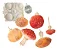 Molde de Silicone: 5 Cogumelos - Imagem 9