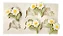 Molde De Silicone: 4 Flores - 2,5 x 2,0 cm - Imagem 5