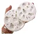 Molde de Silicone: Bichinhos da Floresta - Imagem 7