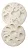 Molde de Silicone: Bichinhos da Floresta - Imagem 6