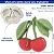 Molde de Silicone: Cereja - 5,5 x 4,5 cm - Imagem 2
