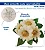 Molde de Silicone: Flor de Margarida - 6,0 x 5,0 cm - Imagem 2