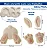 Molde de Silicone: Bumbum do Coelho - Imagem 2