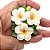 Molde de Silicone: Arranjo de Flores - 5,5 x 5,0 cm - Imagem 1