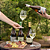Guatambu Luar do Pampa Sauvignon Blanc 2024 - Imagem 2