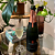 Courmayeur Prosecco - Imagem 3