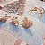 Kit 03 CAPAS DE ALMOFADA LINHO TEMAS DE NATAL ROSE 45x45 - Imagem 3