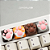 Keycap Tecla Gamer Zomoplus Kitty Paw American Short Hair - Imagem 7