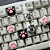 Keycap Tecla Gamer Zomoplus Kitty Paw White Grey - Imagem 4