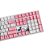 Teclado Gamer Akko 5108S World Tour Tokyo Gateron Pink Lubed - Imagem 10