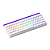 Teclado Magnético Gamer Veekos Shine60 HE SP ARGB Branco - Imagem 4