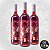 Combo 3 Hidroméis Red Day - Melomel de Frutas Vermelhas - Imagem 1