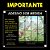 Papel de parede Adesivo - Dinossauros - Imagem 3