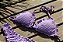 TOP RIPPLE E CALCINHA RIPPLE LEVANTA BUMBUM LILAS - Imagem 3