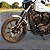 Mata-Cachorro (PROTETOR DE MOTOR) para SPORTSTER (883, 1200) Harley-Davidson - Imagem 2
