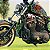 Mata-Cachorro (PROTETOR DE MOTOR) para SPORTSTER (883, 1200) Harley-Davidson - Imagem 3