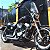Mata-Cachorro (PROTETOR DE MOTOR) para SPORTSTER (883, 1200) Harley-Davidson - Imagem 6