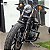 Mata Cachorro / Protetor de Motor SPORTSTER (diversos modelos) Harley-Davidson - Imagem 7