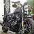 Mata Cachorro / Protetor de Motor SPORTSTER (diversos modelos) Harley-Davidson - Imagem 10