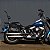 Sissy Bar Destacável Alto para SOFTAIL até 2017 (Fat Boy, FX, Night Train) Harley-Davidson - Imagem 4