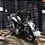 Sissy Bar Fixo Alto para SOFTAIL até 2017 (Deluxe, Heritage) Harley-Davidson - Imagem 4