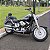 Sissy Bar Destacável Baixo para SOFTAIL (Slim, Street Bob) Harley-Davidson - Imagem 2