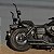 Sissy Bar Fixo Alto para DYNA Fat Bob Harley-Davidson - Imagem 2