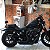 Sissy Bar Mini para SPORTSTER (883, 1200), DYNA (Low Rider, Super Glide), SOFTAIL (FX, Slim, Street Bob) Harley-Davidson - Imagem 8