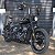 Mata-Cachorro (PROTETOR DE MOTOR) para Breakout, Deluxe, Fat Bob/Boy, Heritage, Low Rider, Slim, Sport Glide, Street Bob - Imagem 5