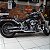 Mata-Cachorro (PROTETOR MOTOR) Blackline, Breakout, Deluxe, Fat Boy, FX, Night Train, Heritage até 2017 Harley-Davidson - Imagem 7